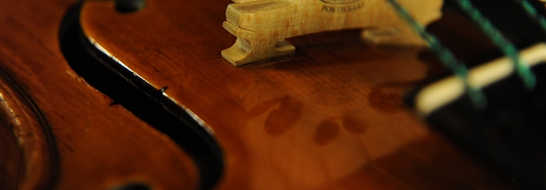 Conia Violin �C�^���A �}�G�X�g��