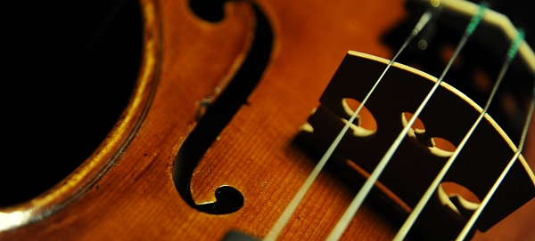 �R�j�A �o�C�I���� �N�����i