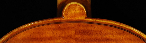 �R�j�A �o�C�I���� �N�����i