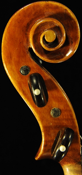 �R�j�A �o�C�I���� �N�����i