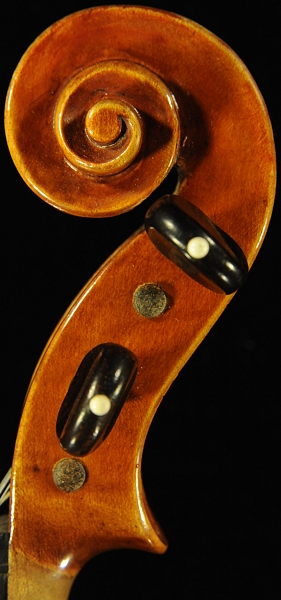 Conia Violin �C�^���A �}�G�X�g��