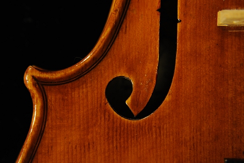 �R�j�A �o�C�I���� �N�����i