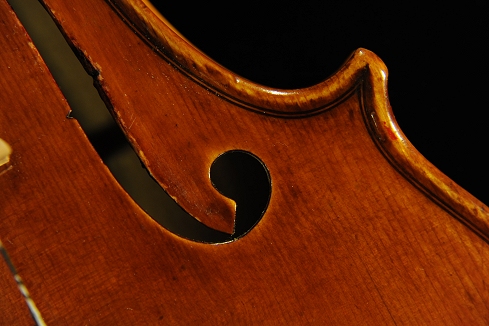 Conia Violin �C�^���A �}�G�X�g��