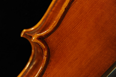 �R�j�A �o�C�I���� �N�����i