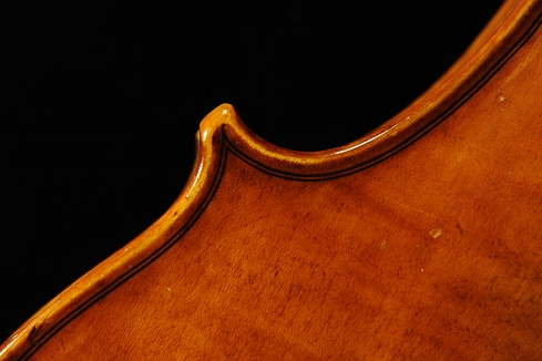 �R�j�A �o�C�I���� �N�����i