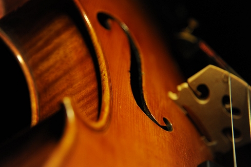 ���B�I�� Conia Italy cremona �C�^���A