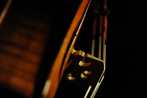 ���B�I�� Conia Italy cremona �C�^���A