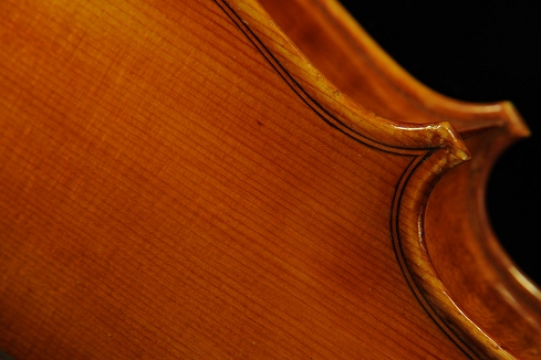 ���B�I�� Conia Italy cremona �C�^���A