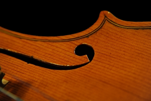 �I���Z�b�� ���x�� �n���K���A�� �o�C�I����