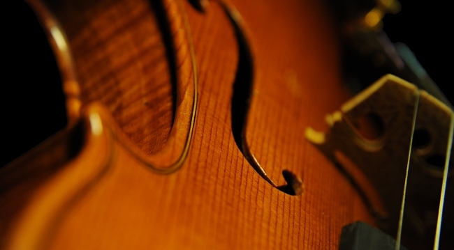 �I���Z�b�� ���x�� �n���K���A�� �o�C�I����