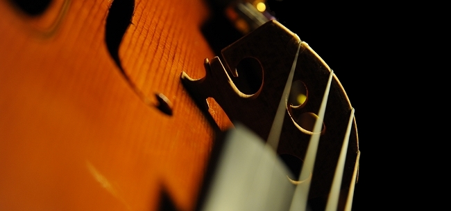 �I���Z�b�� ���x�� �n���K���A�� �o�C�I����