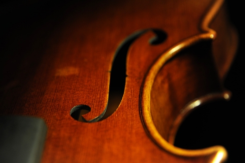 �r�I�� Gasparo da Salo Viola Santo Spirito