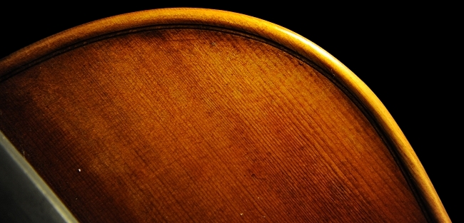 �r�I�� Gasparo da Salo Viola Santo Spirito