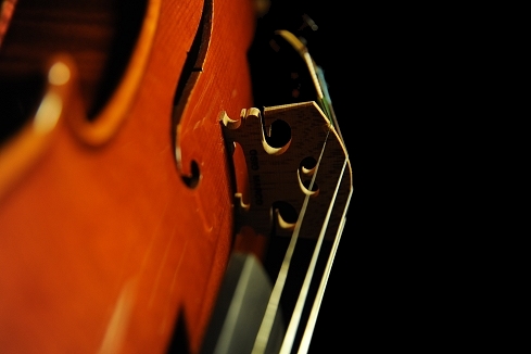 Violin Marco Osio Cremona ITALY