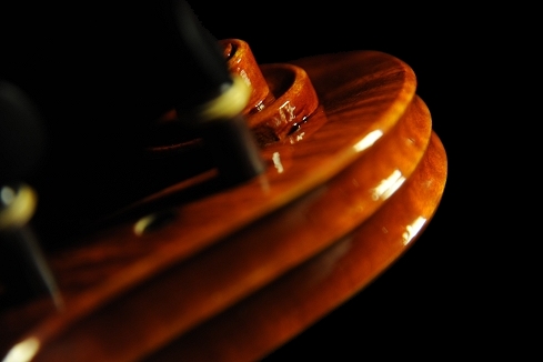 �}�W�R �}���R �I�W�I �N�����i �C�^���A ���@�C�I����