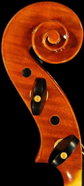 �o�C�I���� Marco Osio Cremona ITALY