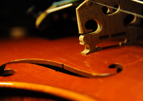 �}�W�R �}���R �I�W�I �N�����i �C�^���A ���@�C�I����