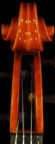 �o�C�I���� Marco Osio Cremona ITALY