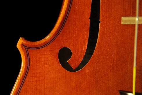 �o�C�I���� Marco Osio Cremona ITALY