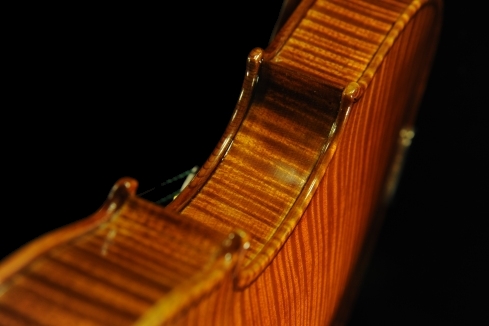 �o�C�I���� �I�r�` �r���`�F���c�H �N�����i �C�^���A