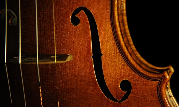 �o�C�I���� Obici Vincenzo Cremona ITALY