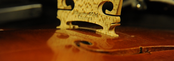 �o�C�I���� Obici Vincenzo Cremona ITALY