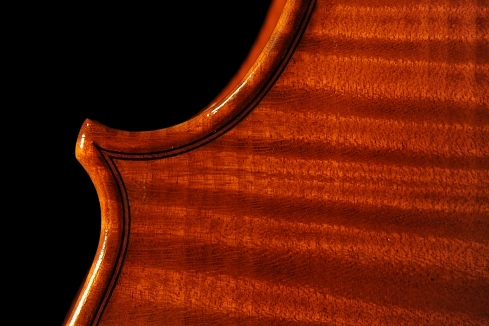 �R�j�A �X�e�t�@�m giovane �r�I�� �N�����i