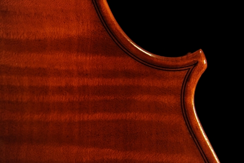 Conia Jr �r�I�� �_�T�� �C�^���A