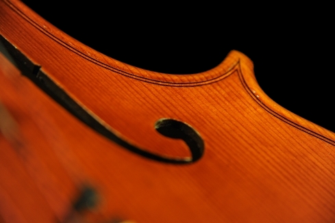 Conia Jr �r�I�� �_�T�� �C�^���A