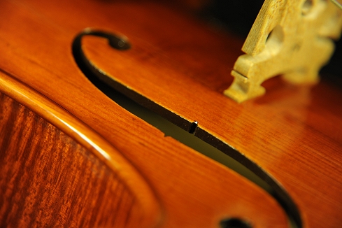 �R�j�A �X�e�t�@�m giovane �r�I�� �N�����i