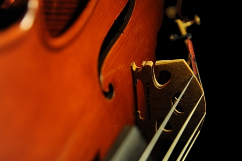 �R�j�A �X�e�t�@�m giovane �r�I�� �N�����i