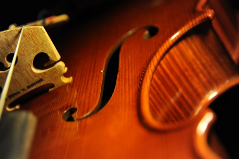 Conia Jr �r�I�� �_�T�� �C�^���A