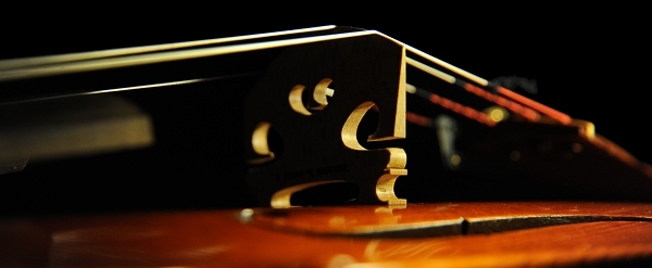 �R�j�A �X�e�t�@�m �}�W�R MAGICO