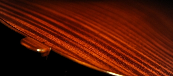 Conia Jr �r�I�� �_�T�� MAGICO