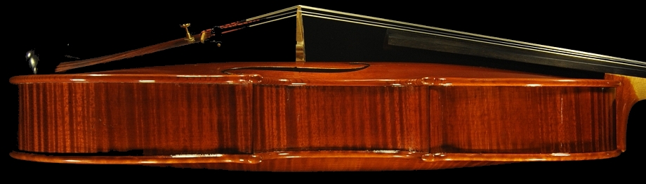 Stefano Conia Viola 2012