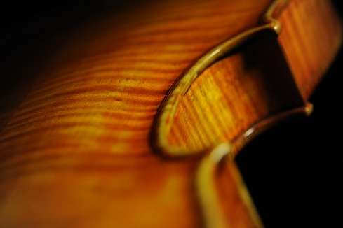 �A���g�j�A�b�c�B ���x�� �}�W�R �o�C�I����