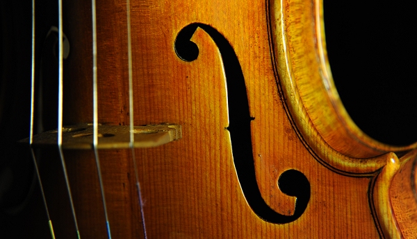 Labeled Riccardo Antoniazzi Violin MAGICO