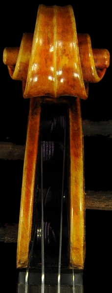 Labeled Riccardo Antoniazzi Violin