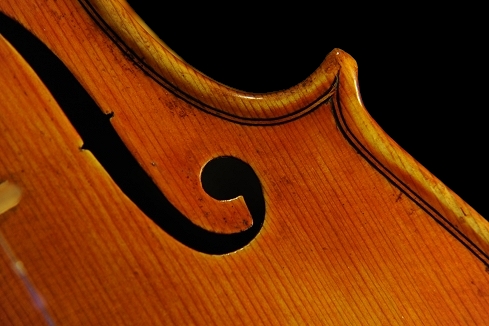 �A���g�j�A�b�c�B ���x�� �n���K���A�� �o�C�I����