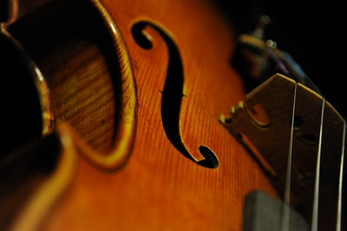 Labeled Riccardo Antoniazzi Violin