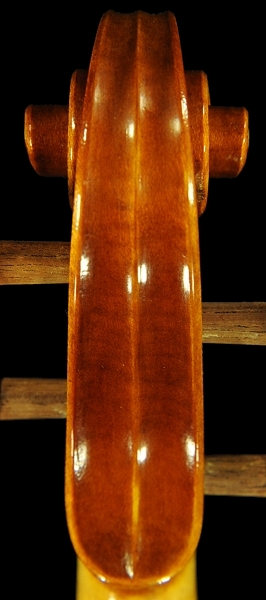 �o�C�I���� �C�^���A ���E�� �ؖ����t