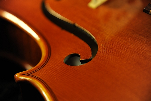 �o�C�I���� �t�����X �C�^���A �������� �}�W�R