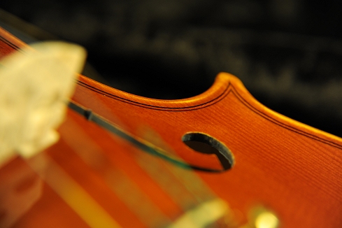 �o�C�I���� �C�^���A ���E�� �ؖ����t MAGICO