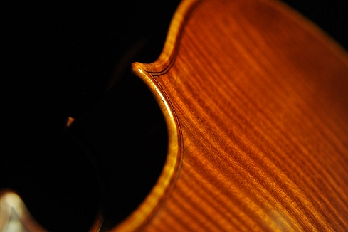 �o�C�I���� �t�����X �C�^���A �������� �}�W�R