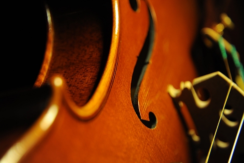 �o�C�I���� �t�����X �C�^���A �������� �}�W�R