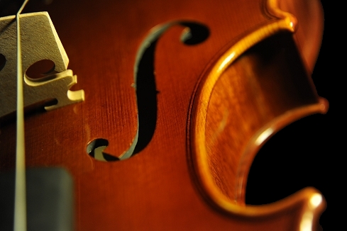 �o�C�I���� �C�^���A ���E�� �ؖ����t MAGICO