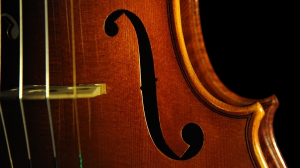 �o�C�I���� �t�����X �C�^���A �������� �}�W�R