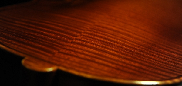 �o�C�I���� �C�^���A ���E�� �ؖ����t MAGICO