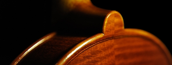 �o�C�I���� �t�����X �C�^���A �������� �}�W�R