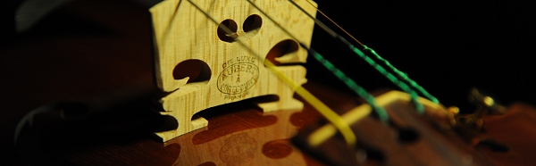 �o�C�I���� �C�^���A ���E�� �ؖ����t MAGICO